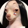 𝓒𝓪𝓻𝓸𝓵𝓲𝓷𝓪 🇨🇱's profile picture