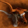 Burnt Orange Kool aid drinker's profile picture