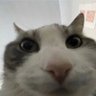 Profilbild von Strange Happenstance