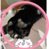 莉奈 profil fotoğrafı