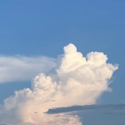 LuminousTaro's profile picture