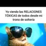 Фото профиля Mari_sol 🐶🐰| 🇪🇨