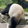 がおるぅ 的头像
