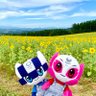シエル 的头像