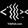 TribFish profil fotoğrafı