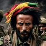 Profilbild von Ashenafi Gonderie