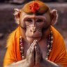 Sanatani Surendra Agrahari 的头像