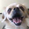 Nachito 的头像