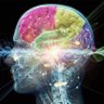 Evolving Brain 的头像