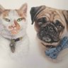 🐶Marley and Angel Jasper 🌈🐈's profile picture