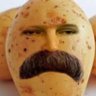 YOLDAŞ PATATES A.Ş's profile picture