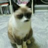 釣り拓宏's profile picture