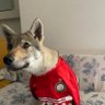 Profilbild von Michele_Tariano
