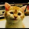 Profilbild von Huseyin