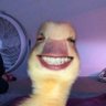 ujep profil fotoğrafı