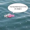 카카리코's profile picture