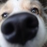 Gokz's profile picture
