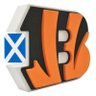 Profilbild von BengalBrian #BriansForIndy🏴󠁧󠁢󠁳󠁣󠁴󠁿