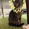 Фото профиля miina🦁❤️🔥