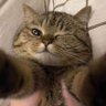 Profilbild von minhkshere:)