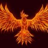 Lior Ezra's profile picture