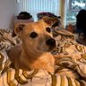 Benjamin's profile picture