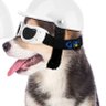 Lara Maui's profile picture