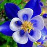 Фото профиля Grandma Beth