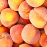 Freeze Peach profil fotoğrafı