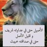 وائل بدوي's profile picture