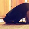 الوفاء طبعي 的头像