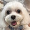 スイッチが入った２台/原ちゃん517 profil fotoğrafı
