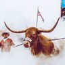 Scotty_Horns 的头像