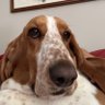 Clay Smith profil fotoğrafı