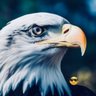 Profilbild von I Wanna Fly