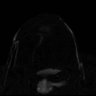 mars's profile picture