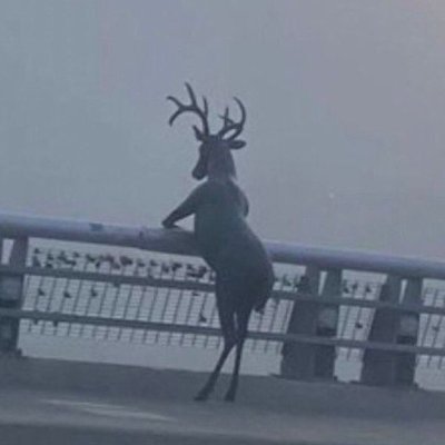 Fypher_'s profile picture