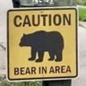 Bears's profile picture