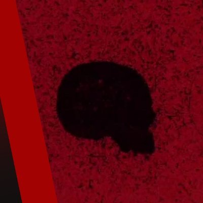 Destroy_Capital's profile picture