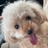 もっち's profile picture