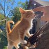 Фото профиля 王大猫的树洞