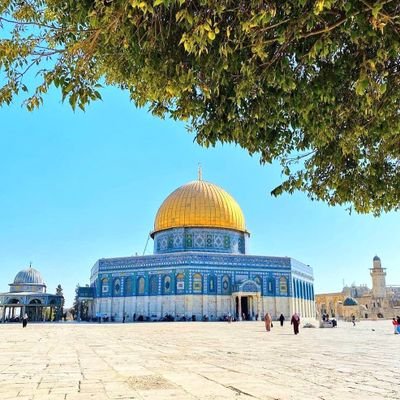 Qarymukhlis313's profile picture