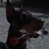 1v1 AWP's profile picture