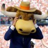 Adolis owns Houston PERIOD🏆's profile picture