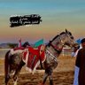 Marwan al-balushi's profile picture