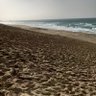 アナザートト 的头像