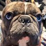Carson's profile picture