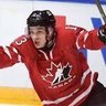 Smart Hockey Fan's profile picture