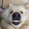 Profilbild von meteus