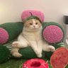 MoonHY profil fotoğrafı